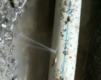 温江卫生间测漏水多少钱